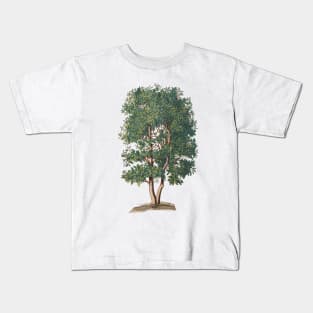 Tree Vintage Botanical Illustration Kids T-Shirt